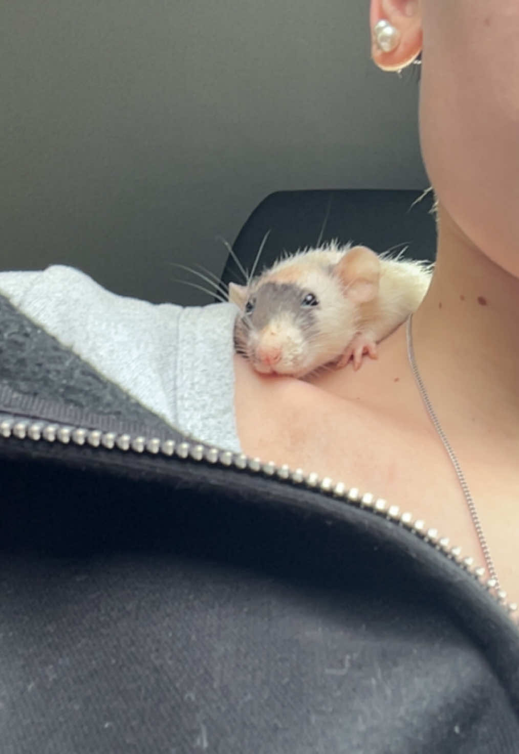 @໒꒰ྀིっ˕ -。꒱ྀི১