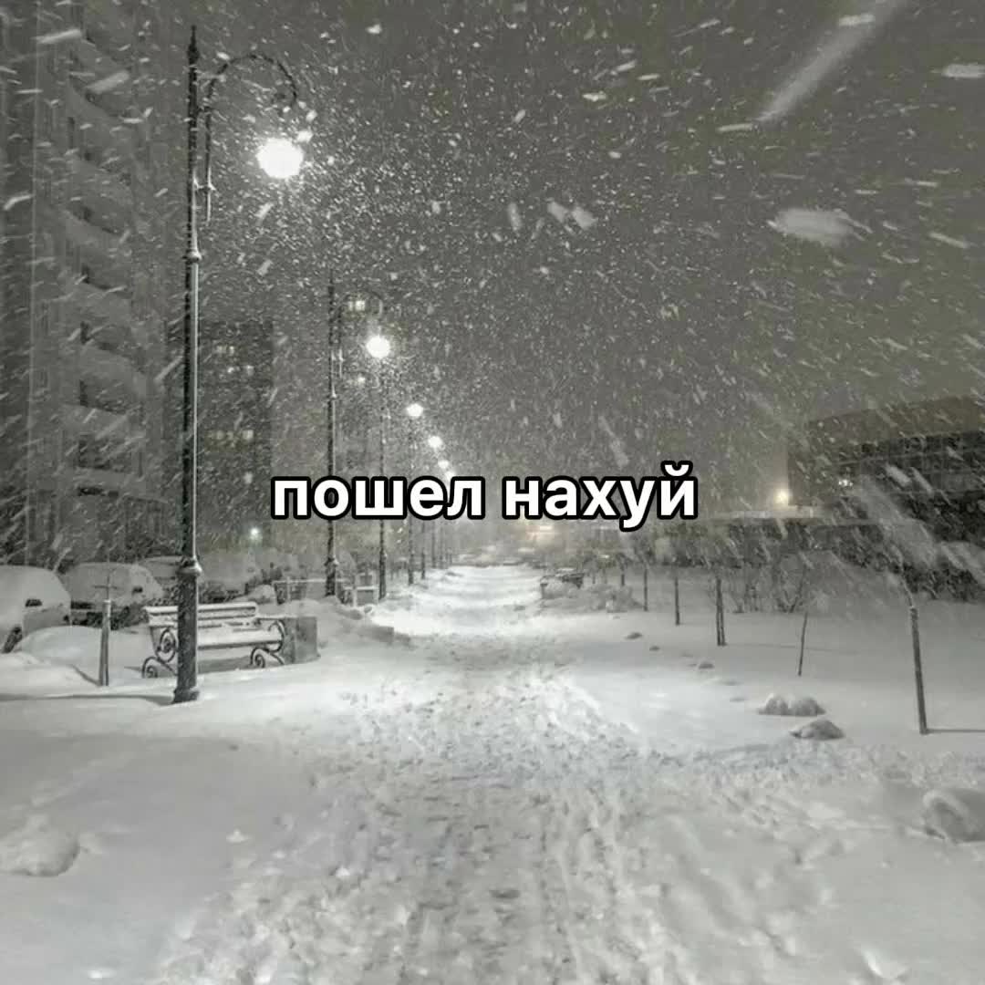 @hossi🍍🍍✅️