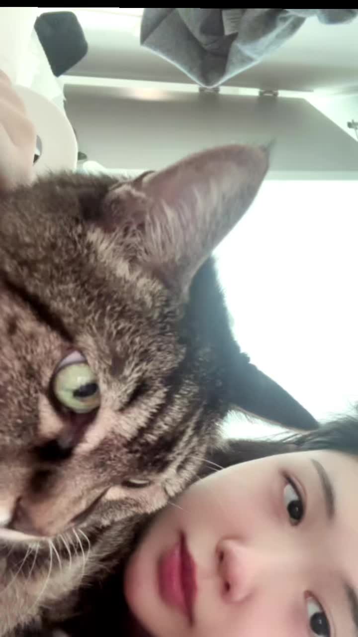 @ganzi_kitty