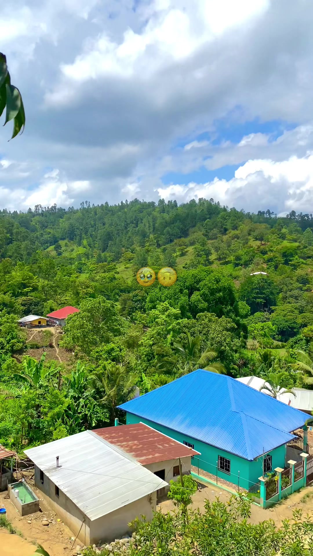 @jhonyguevara26