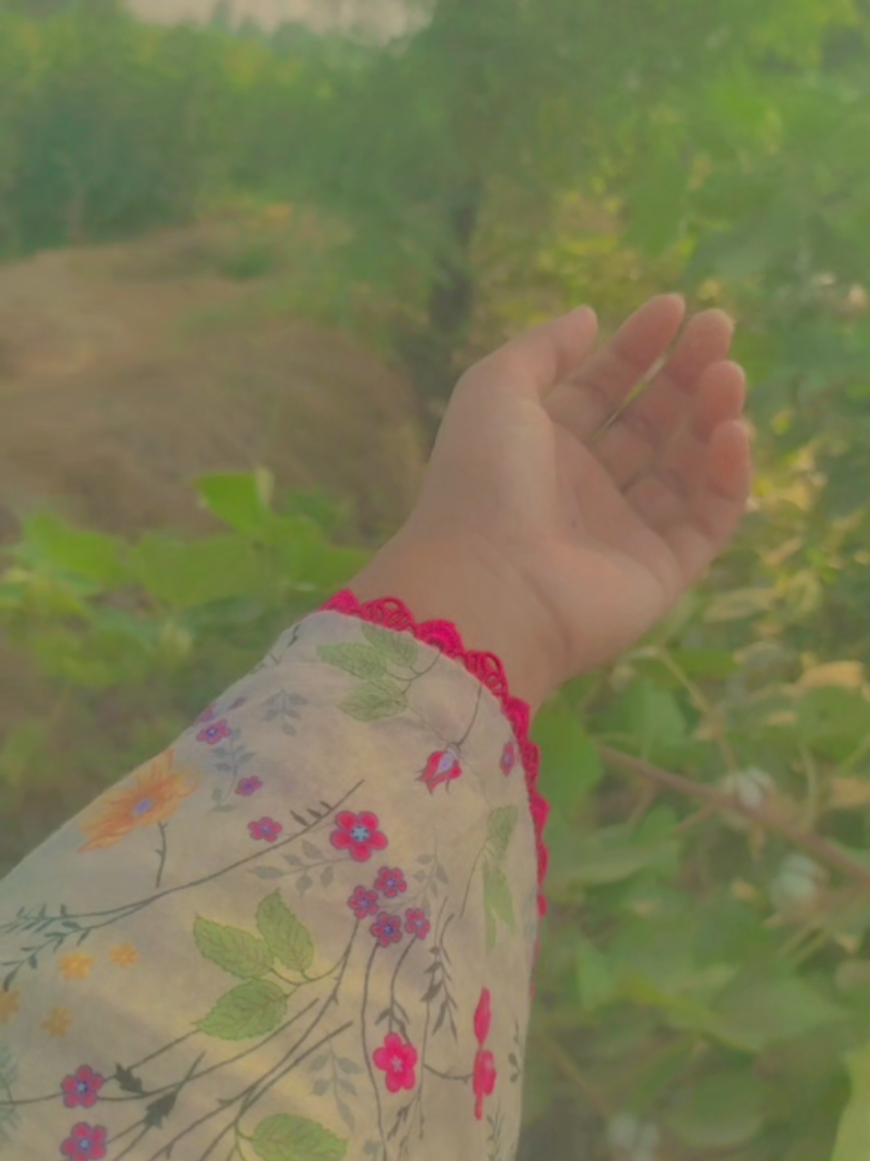 @Tayyaba Choudhary🎶💎