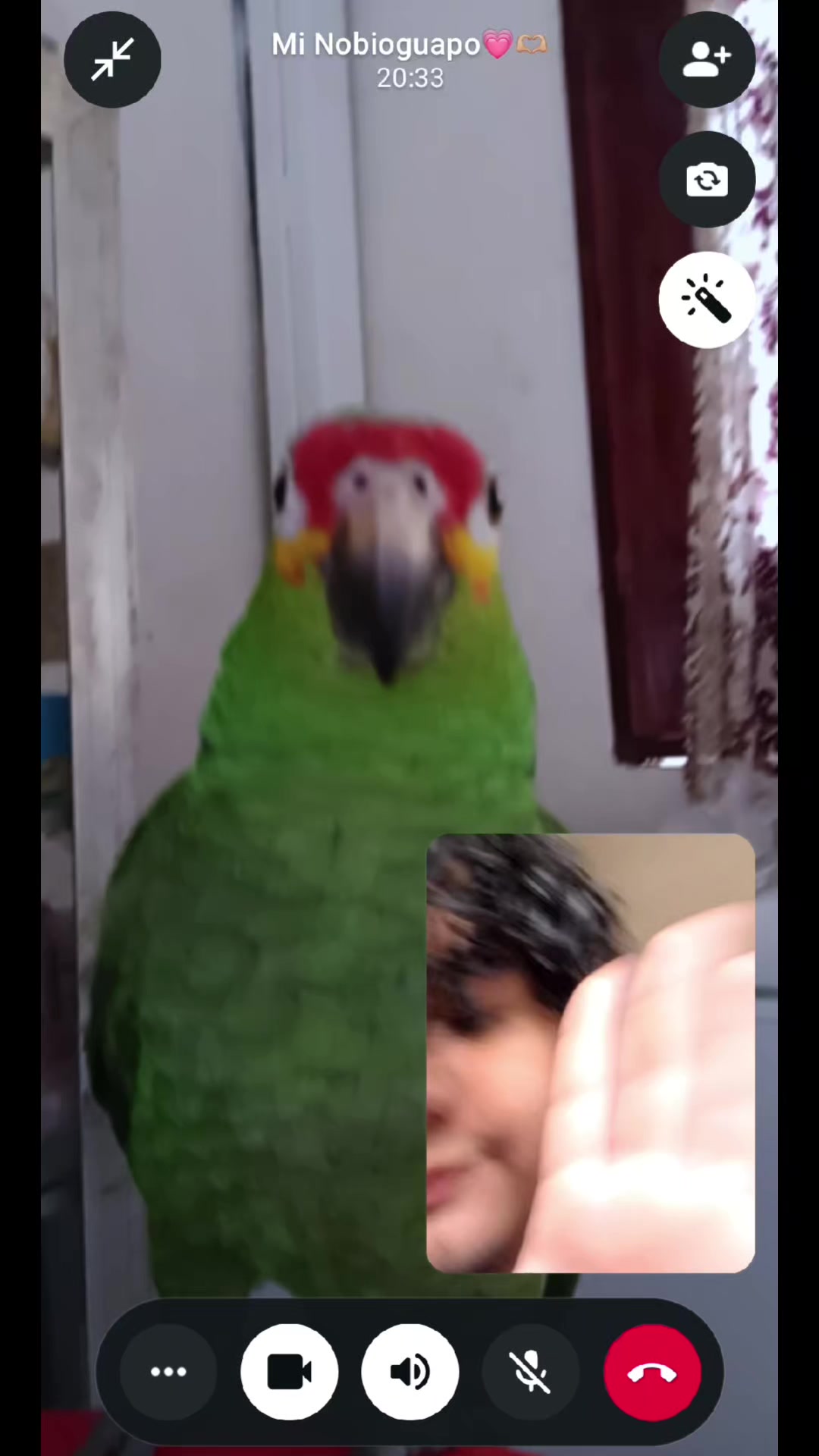 @angenic(camacho' versión)