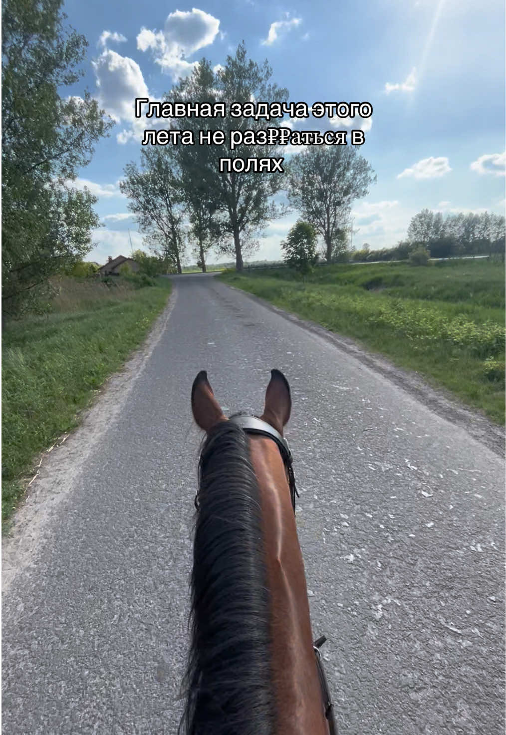 @❗Брест❗ 🐎Конюшня 🐎