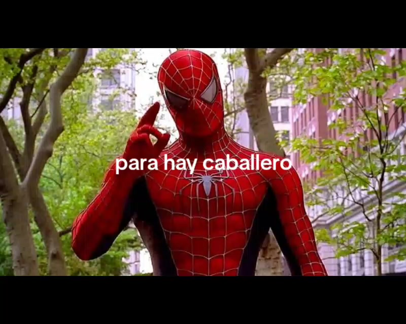 @LEOOXER316✅