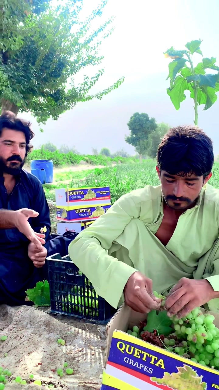 @Sarfaraz Raisani