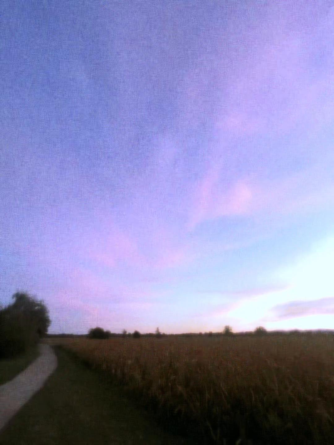 @user52411150053