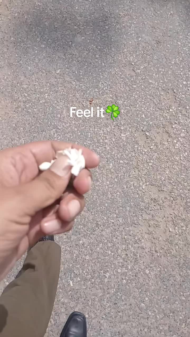 @تیمور