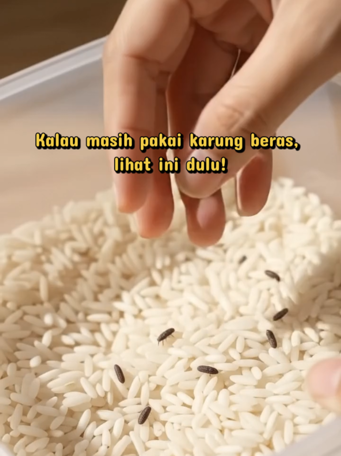 @Wahyuning Handayani