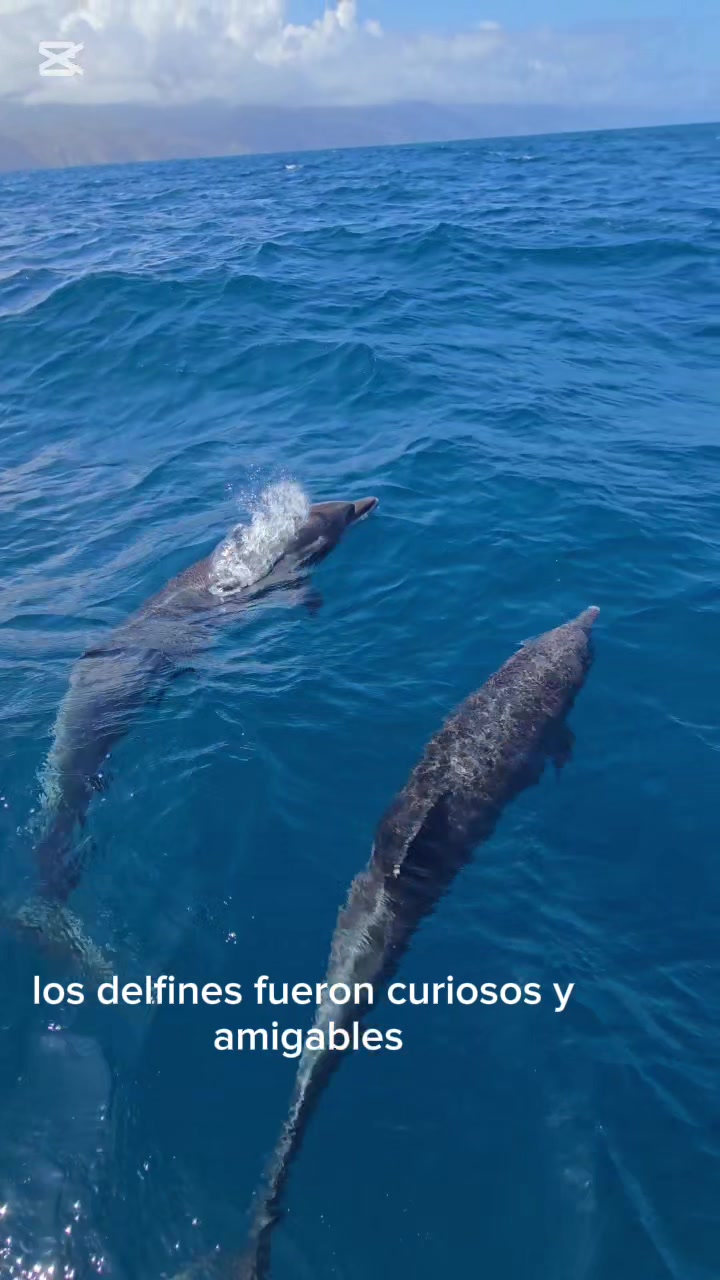@acuadradoss