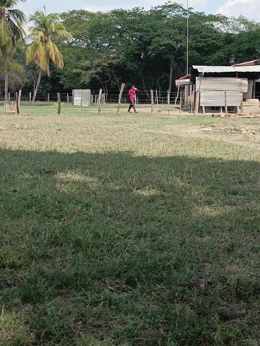@José Mujica