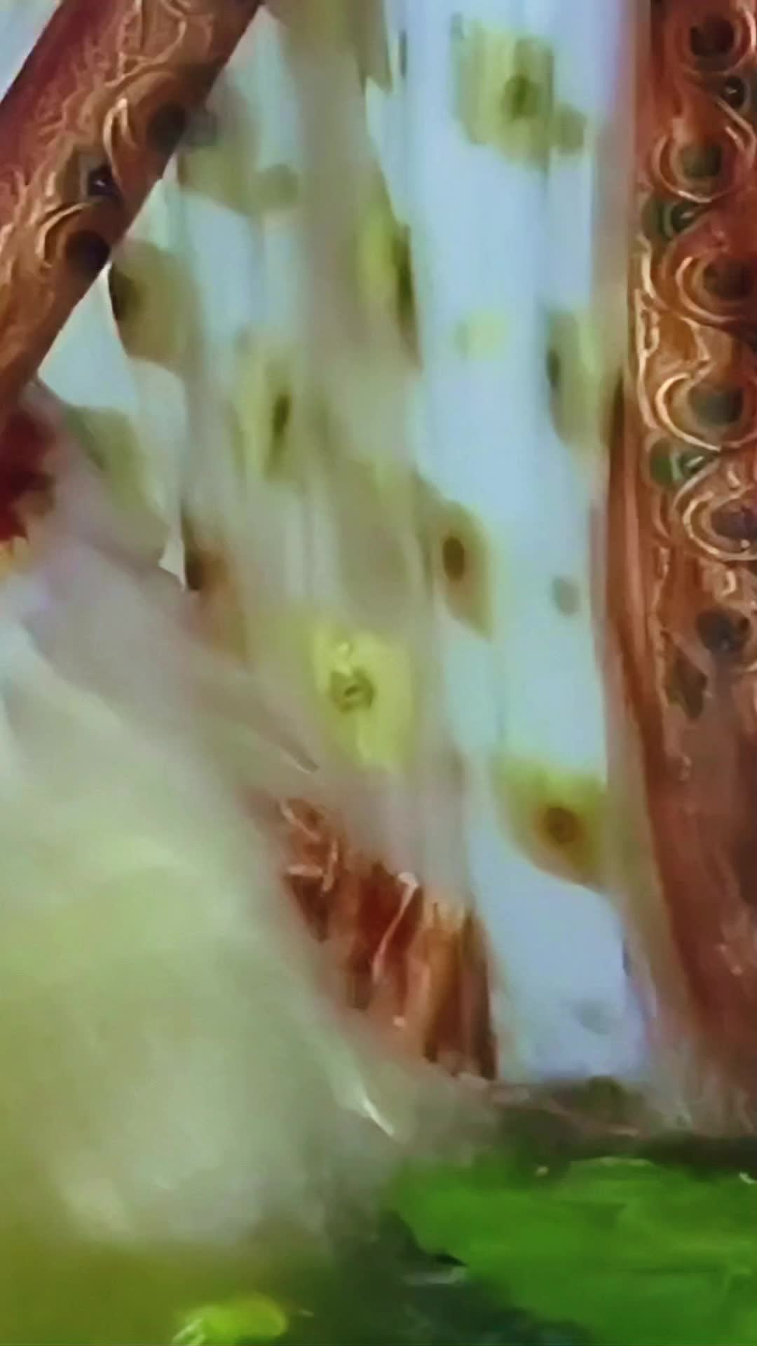 @𝕾.𝕸.𝕽𝖆𝖏𝖆..🎶