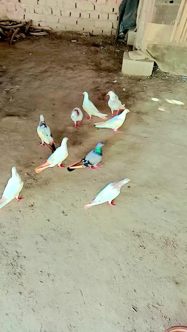 @vbnm