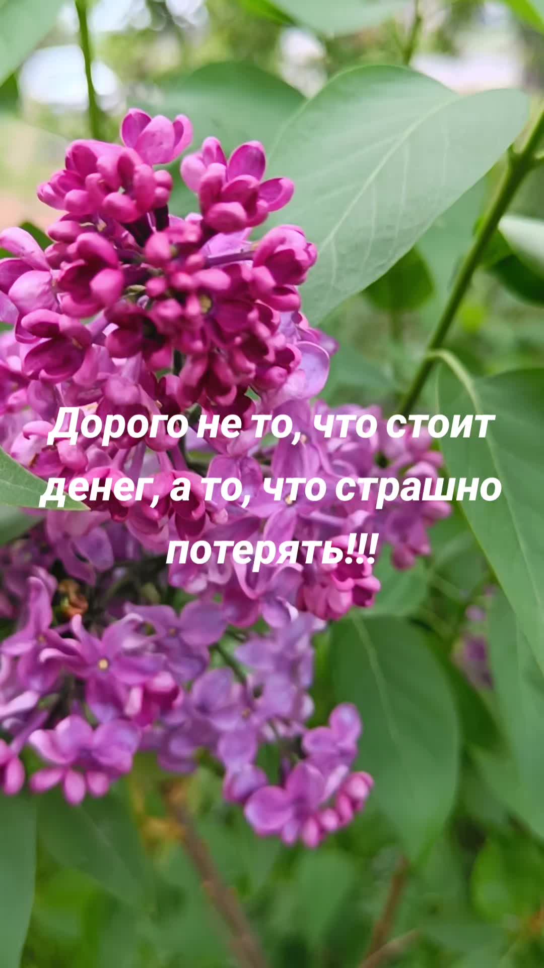 @yanozka