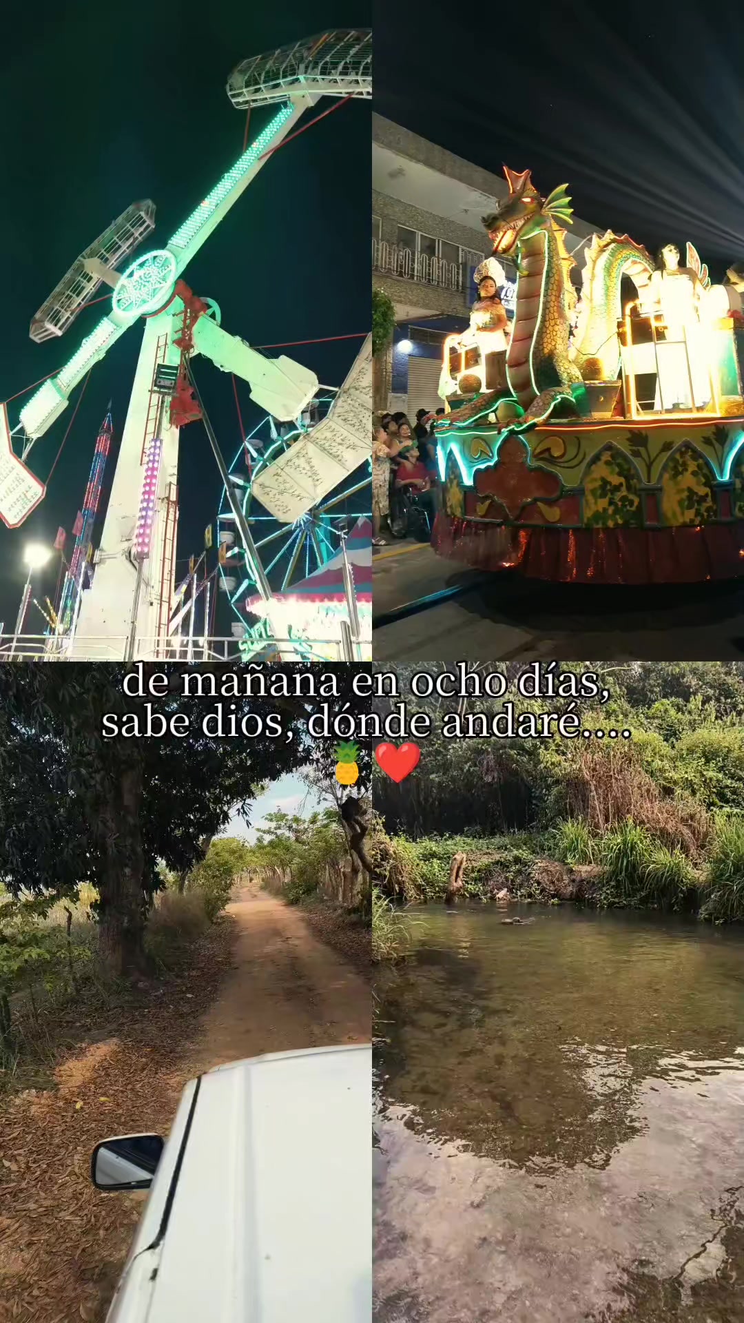 @Maribel