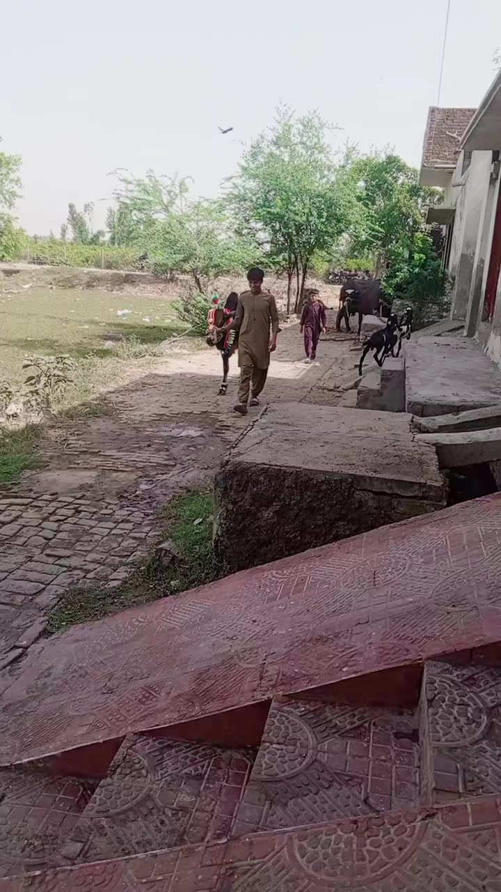 @naseerali 119