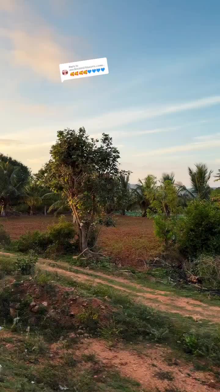 @பேப்பர் ஐடி 248 🌹1