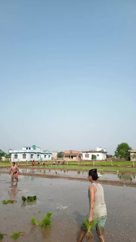 @Dive chand