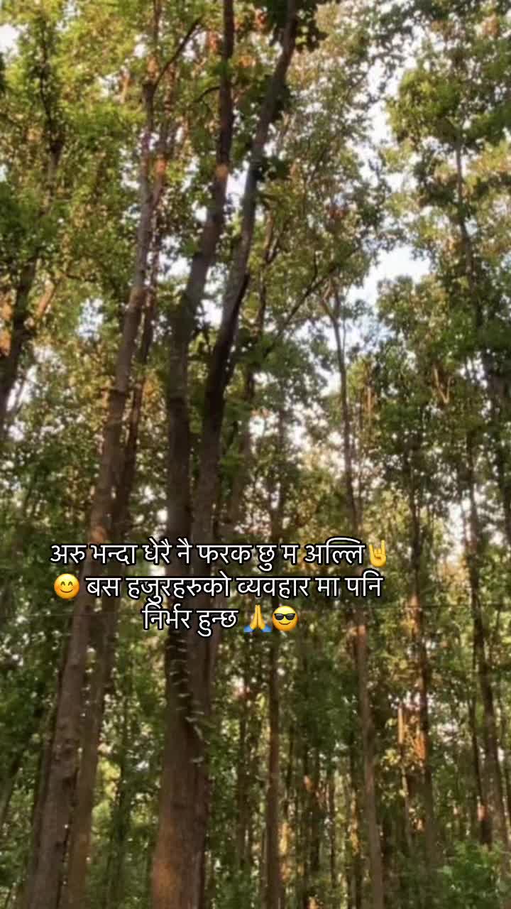 @mayapandey446