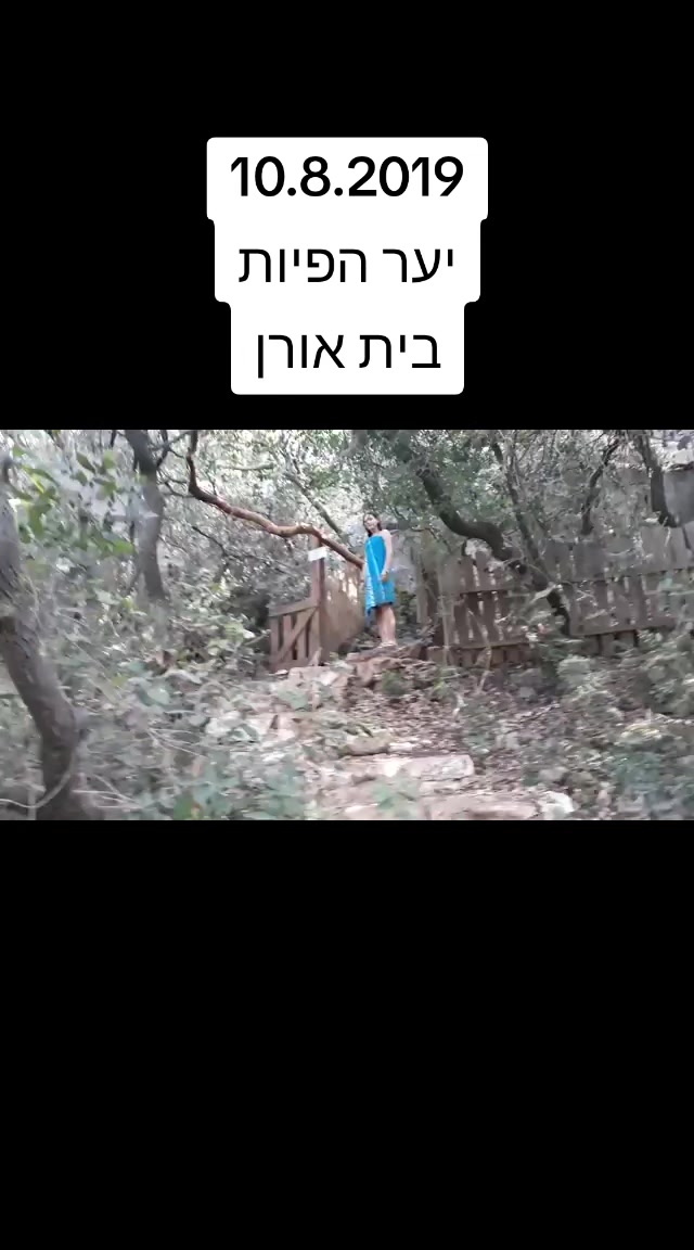 @🌞 קוקי יונה חנישר