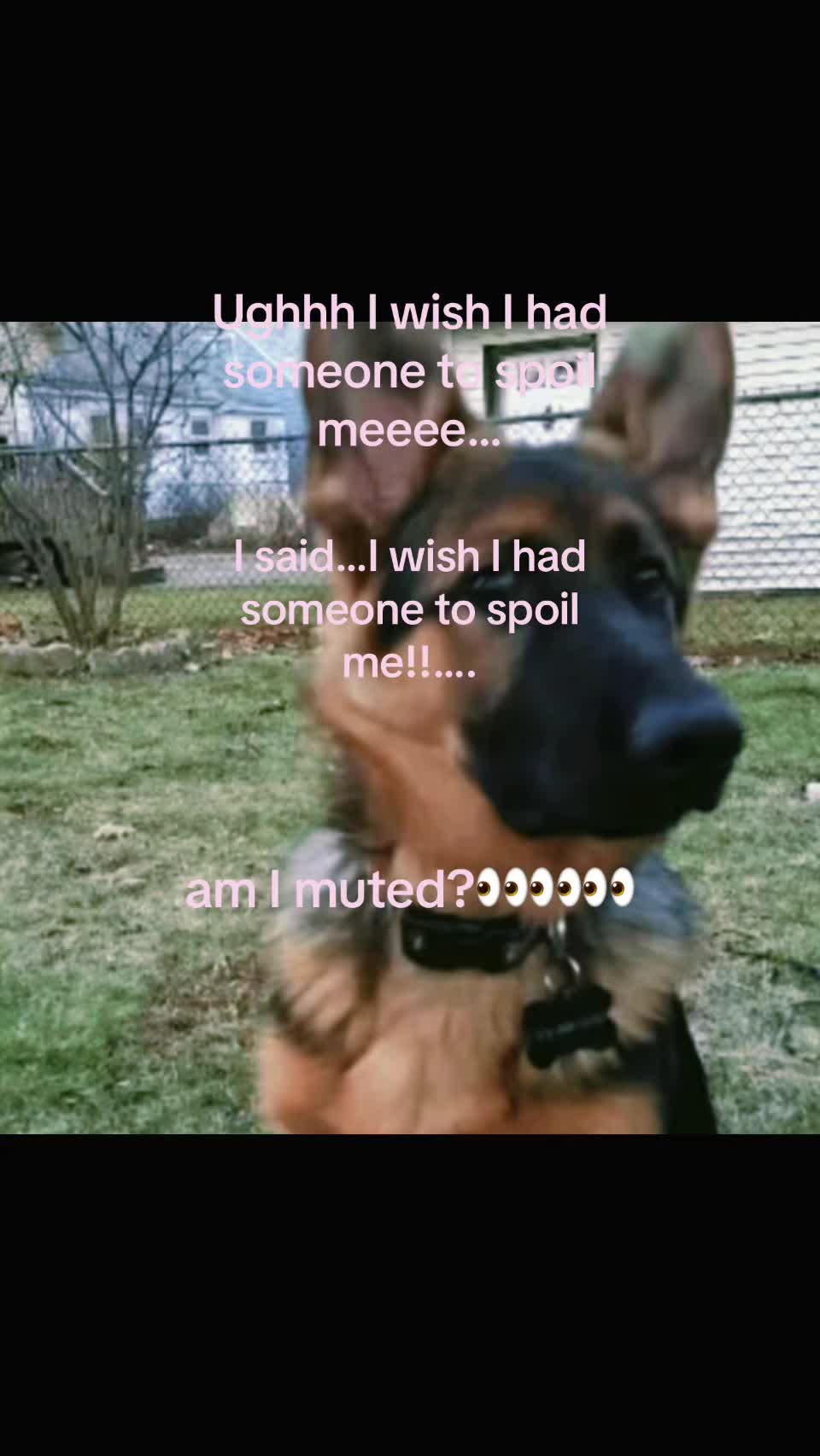 @🌺