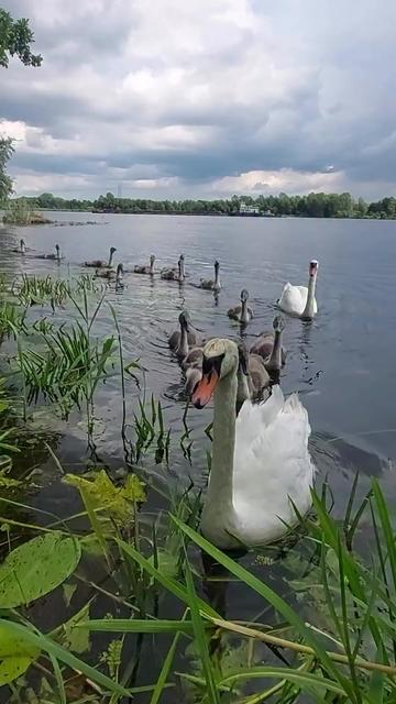 @🇷🇺 Калининградец🇧🇾