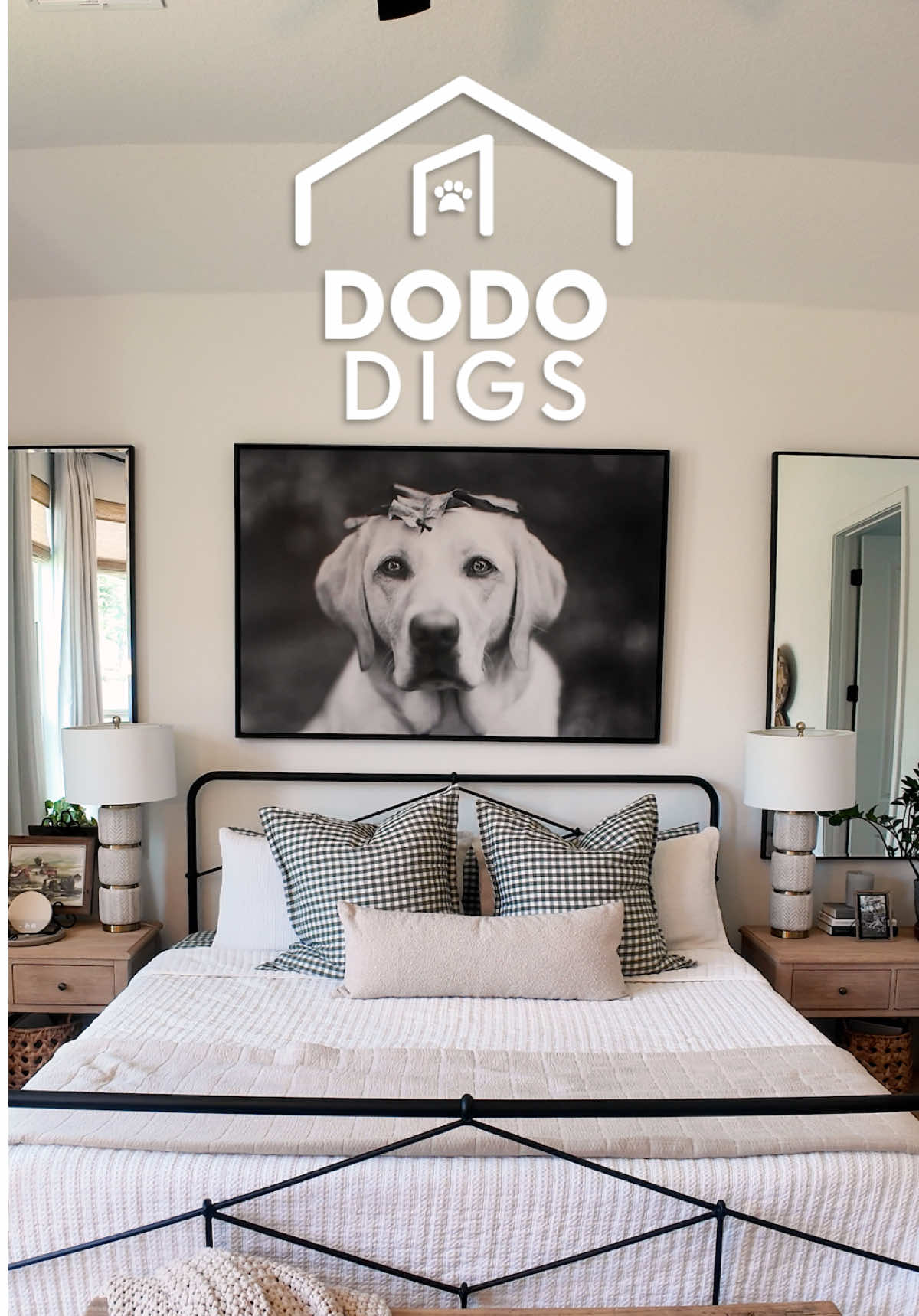 @The Dodo