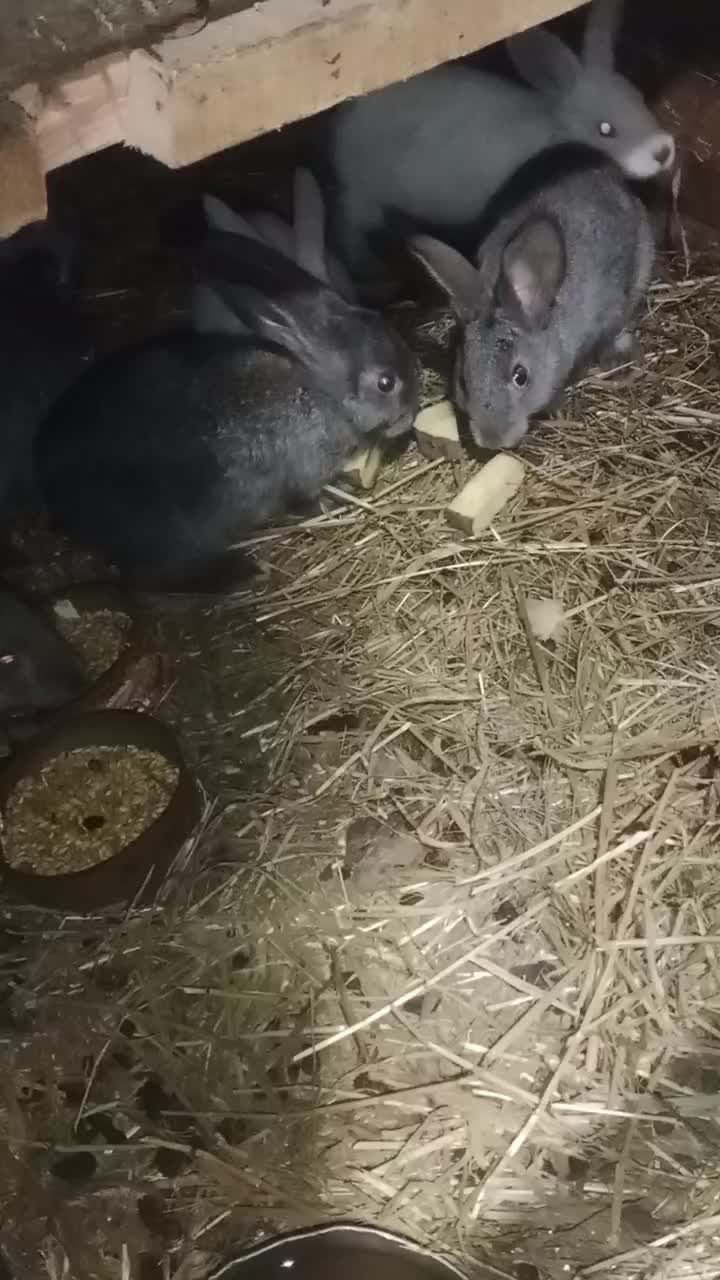 @Катрина