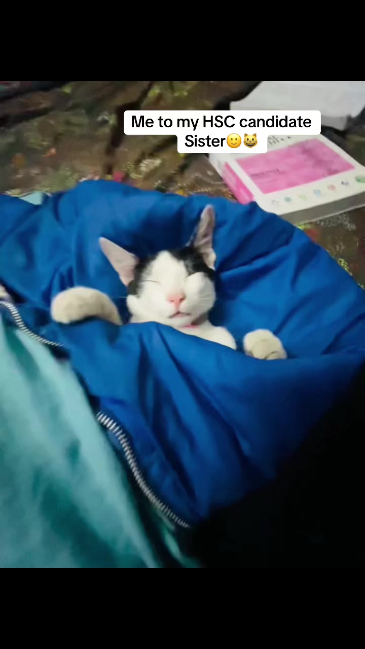 @💞KittY MooN💞🌙