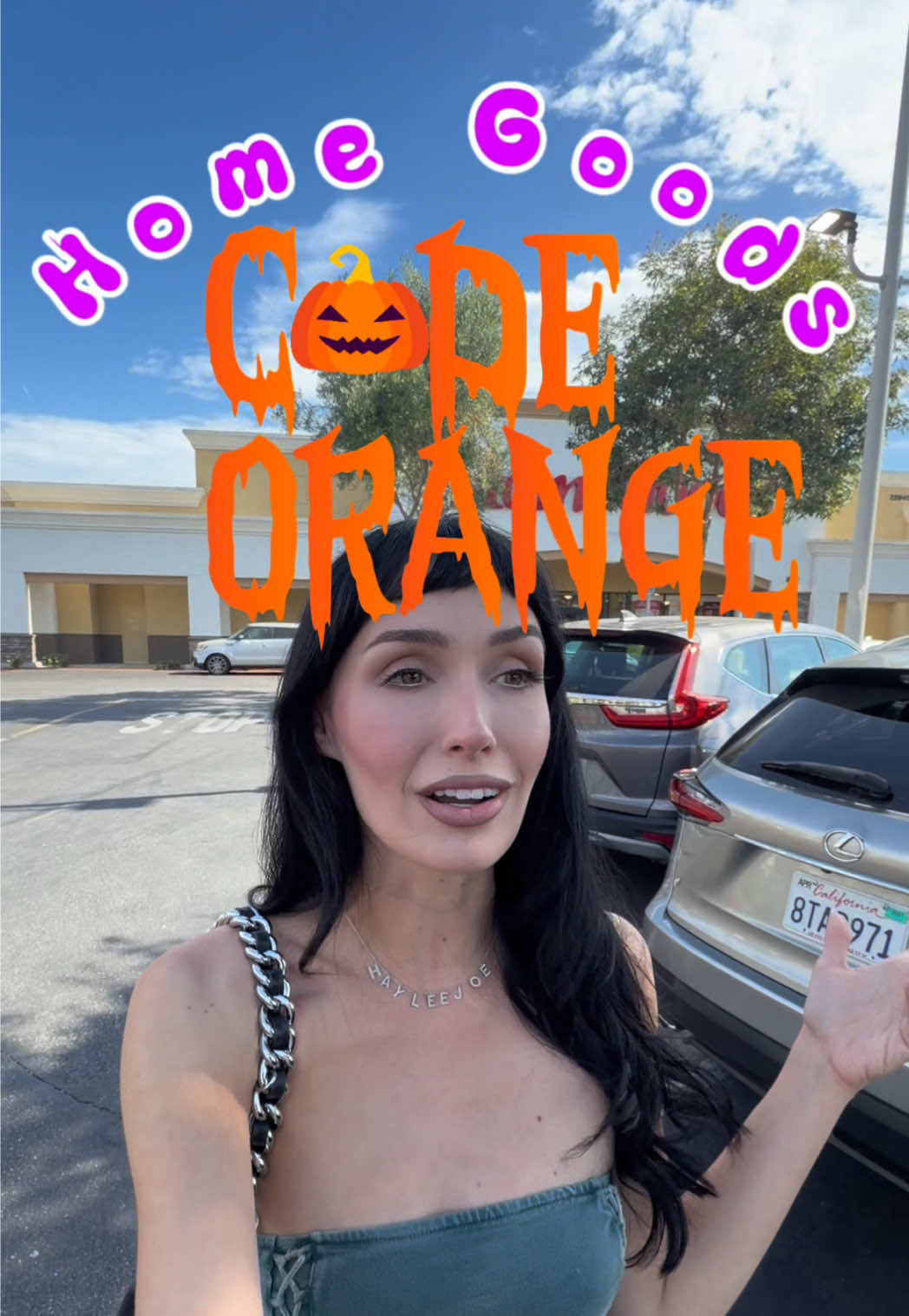 @hayleejoe