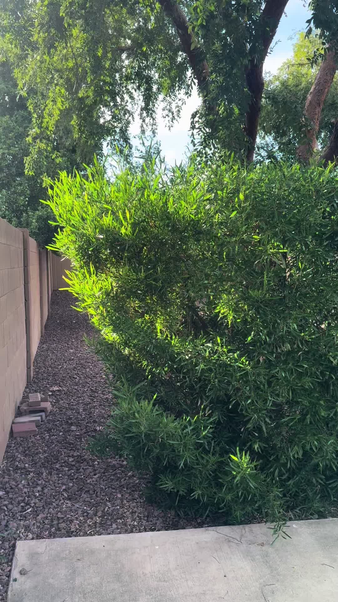 @landscaping