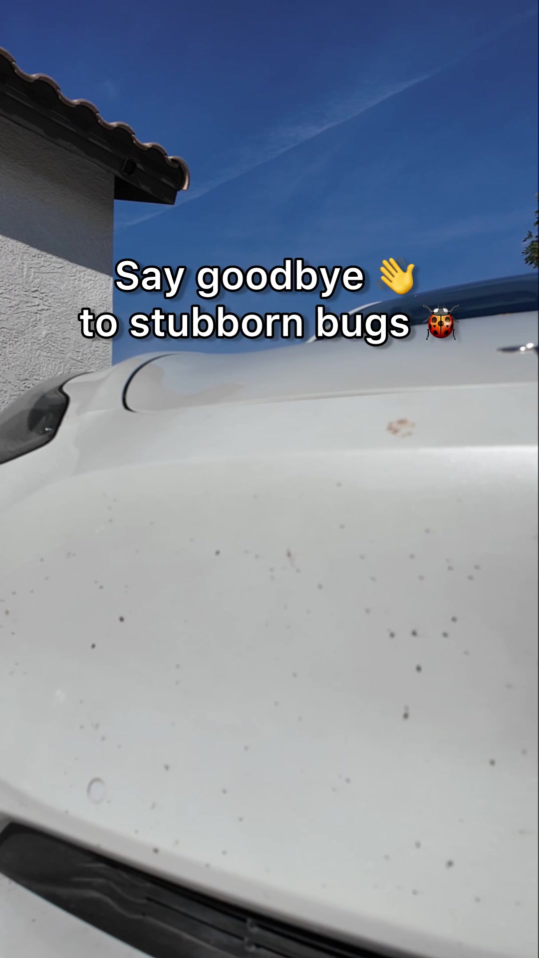 @Turtle Wax