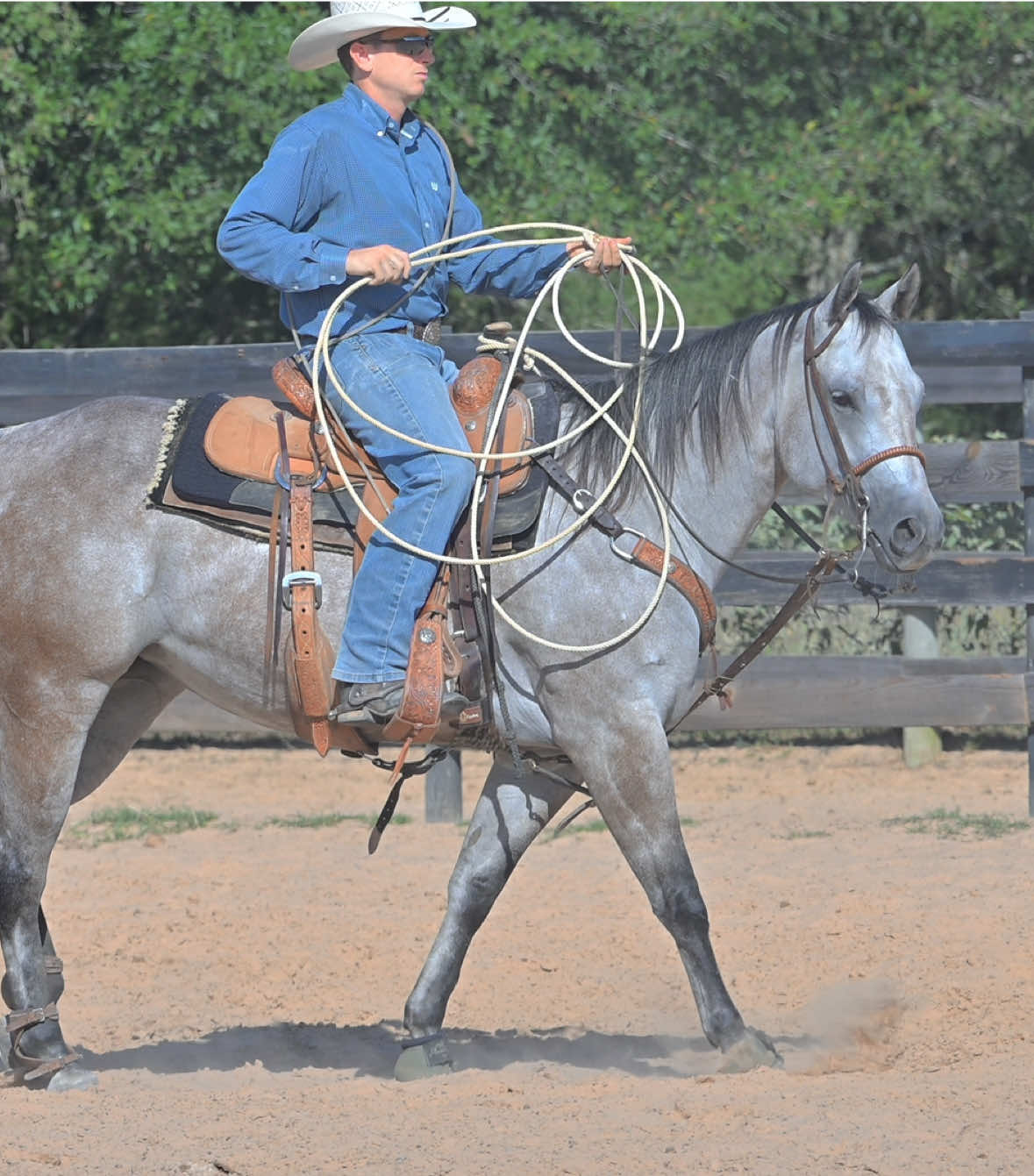 @HD Performance Horses