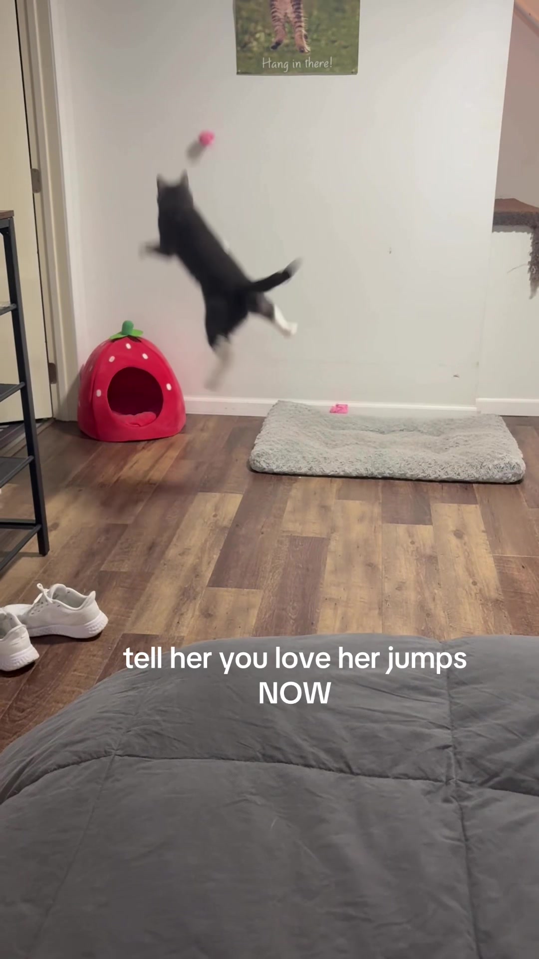 @maryyy🍄🧚🌙🐈&zwj;⬛