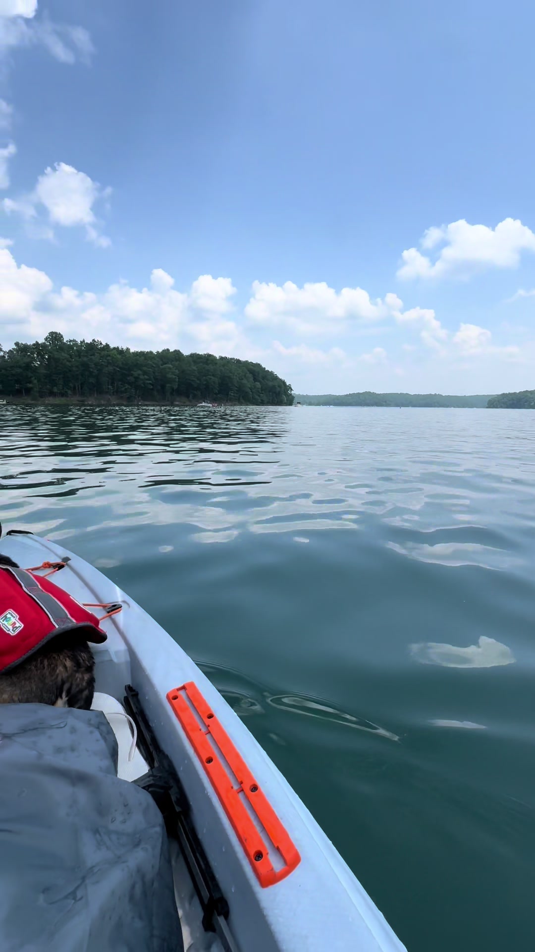 @wvdogmom13