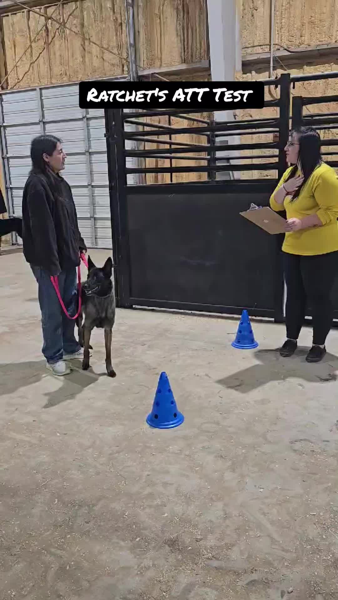 @Muttstrutt