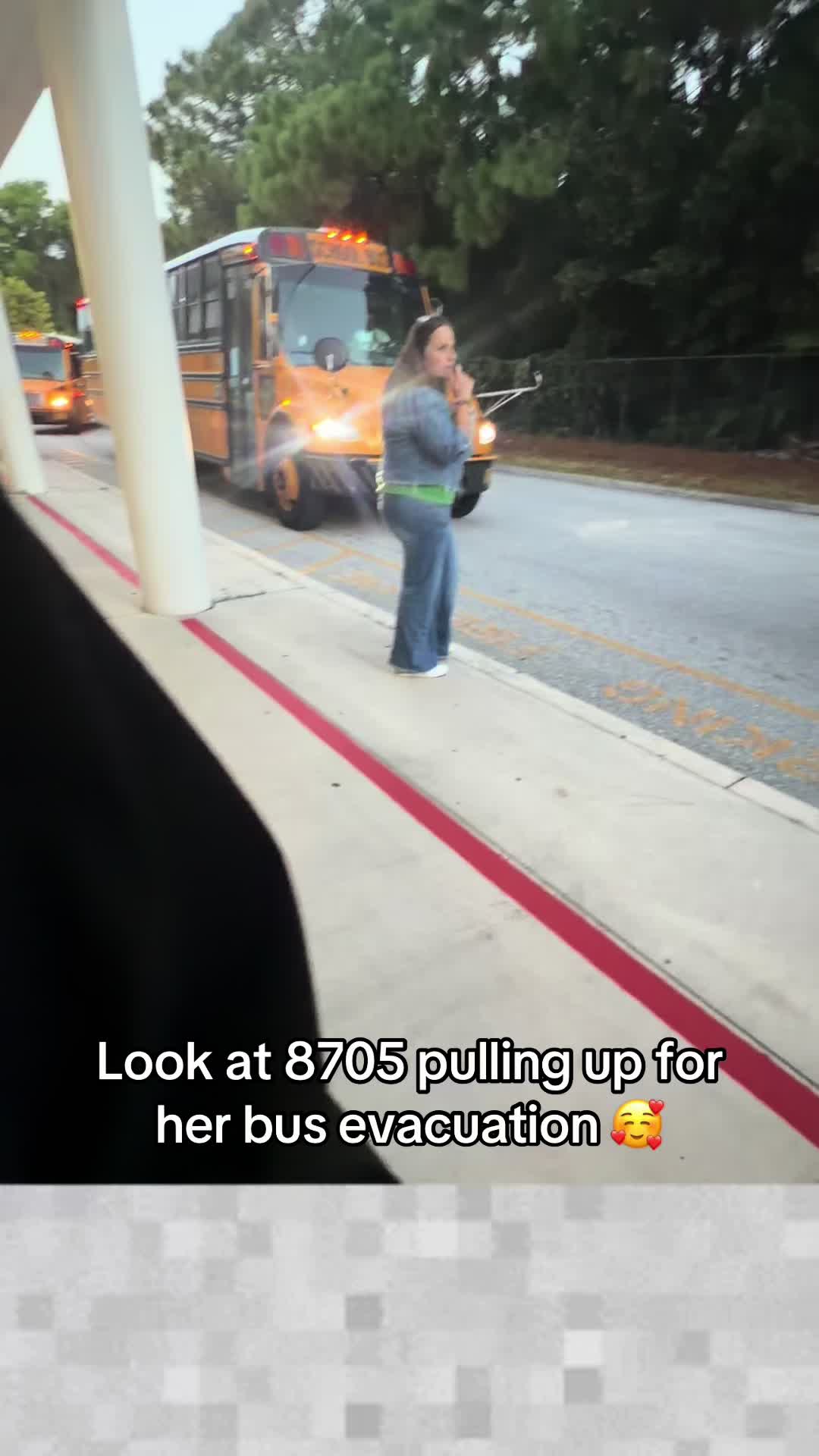 @palmbeachtransportation