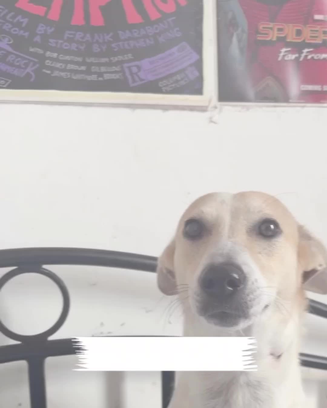 @My funny video