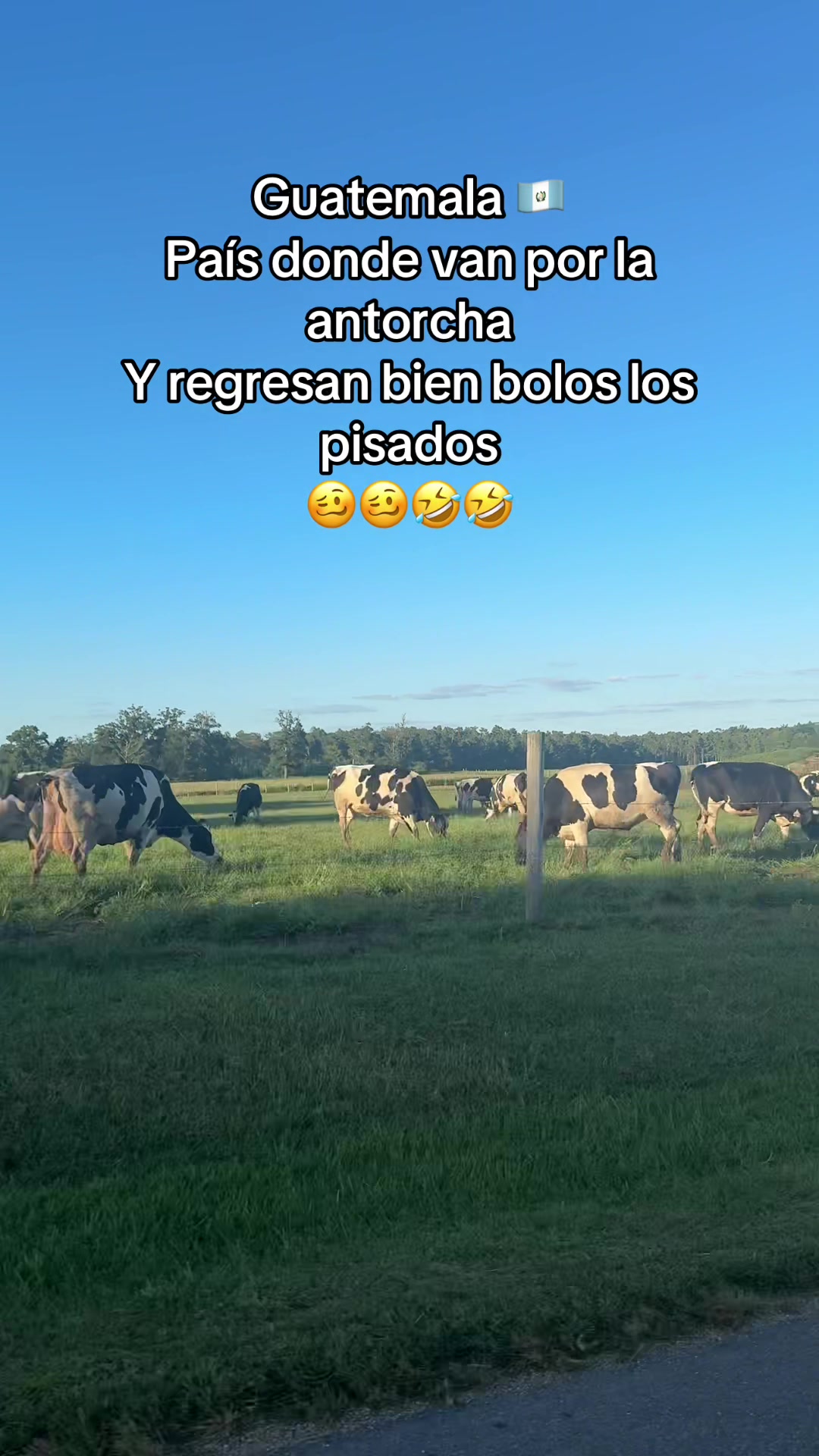 @Franck 🧃🧃