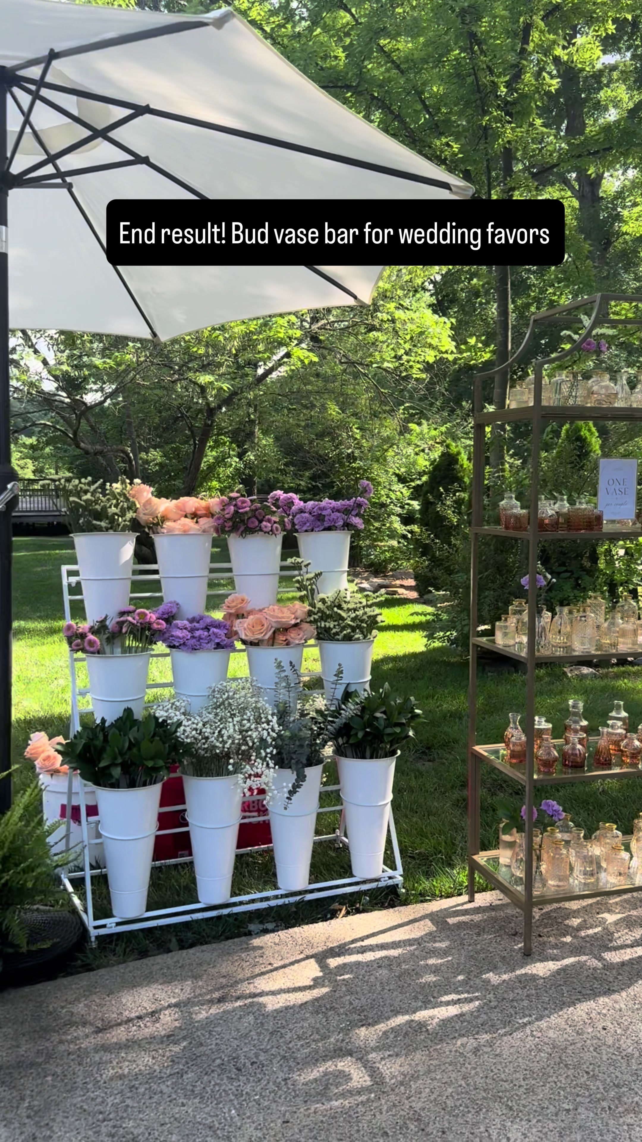 @Amanda | Pickinnpetals