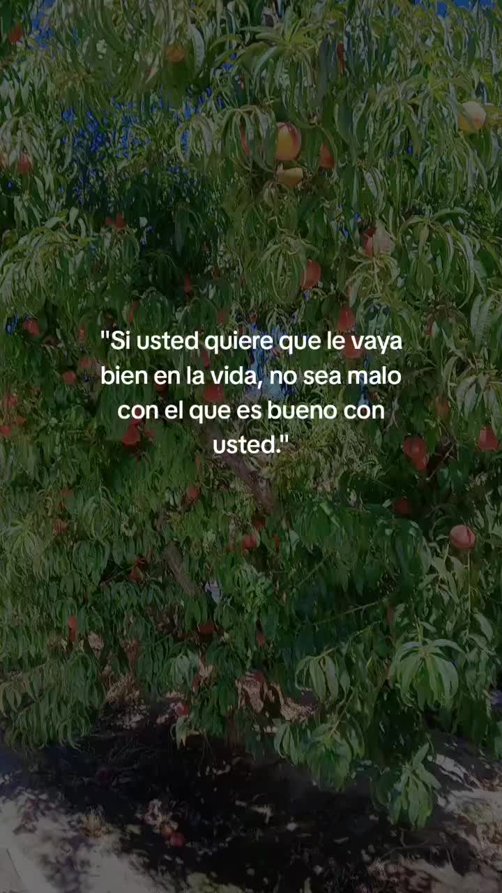 @la jarochita ๐๐๐๐