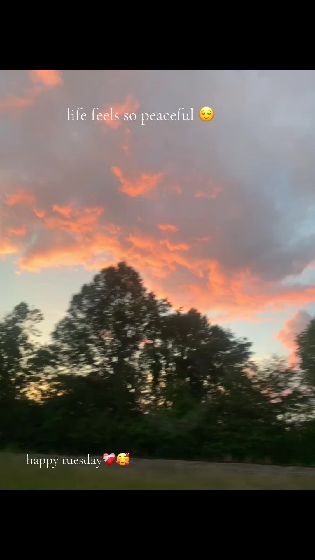 @𝙻𝚒𝚕 𝚋𝚊𝚋𝚢.𝚖𝚒𝚛𝚊