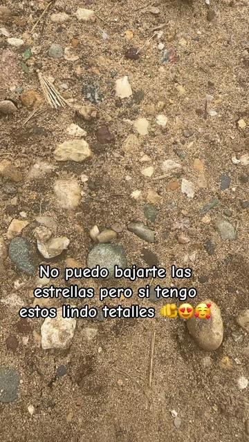 @🎧jmsmusica🎵🎼