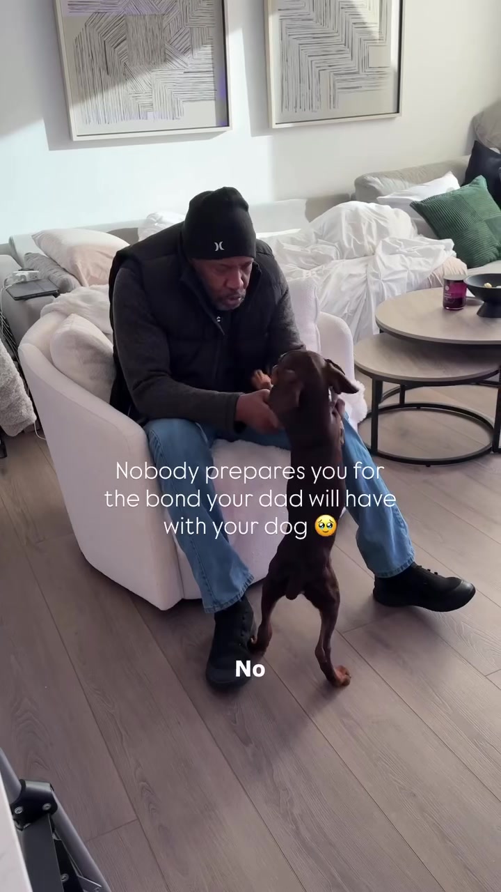 @Royce