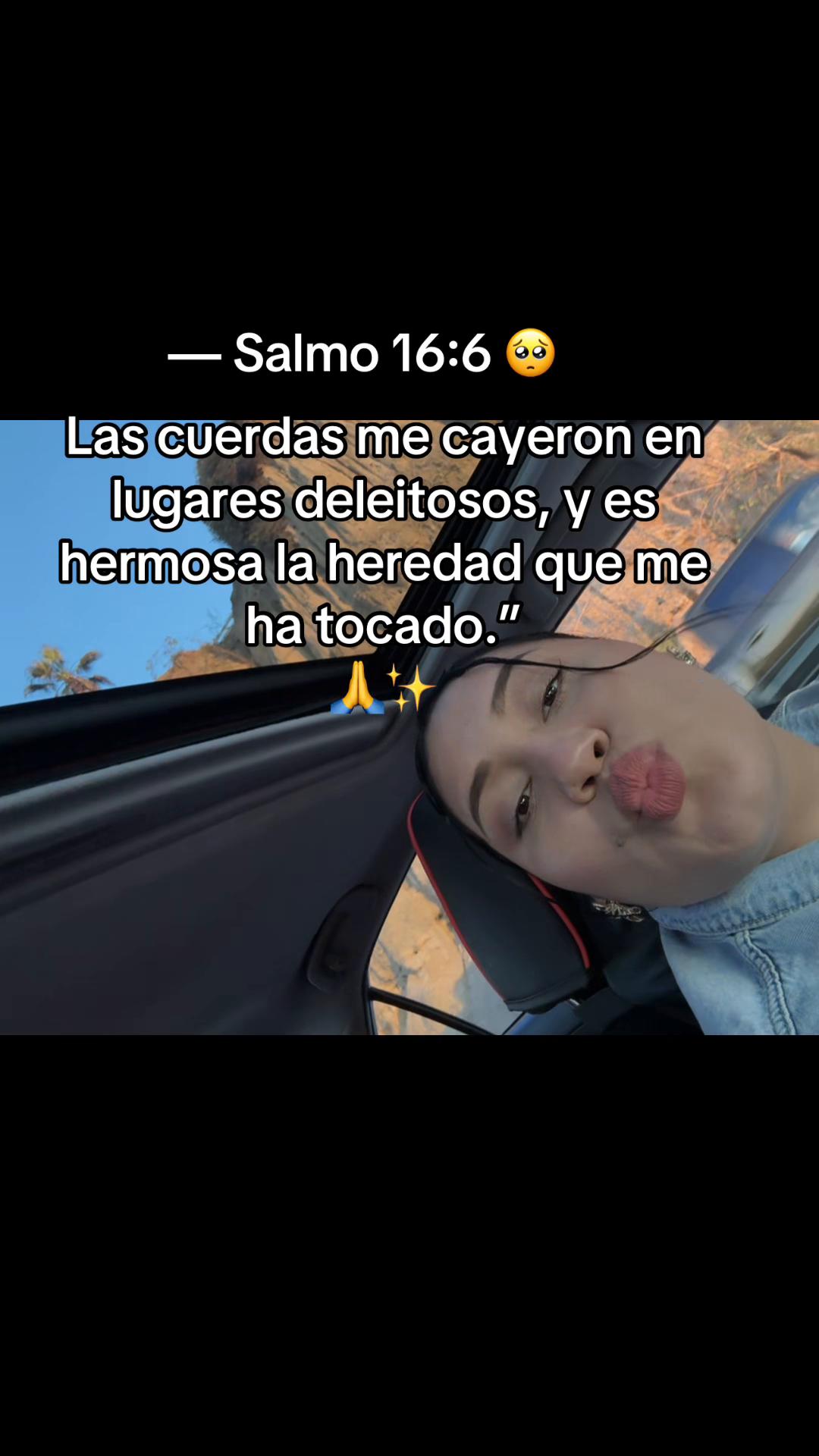 @No_he JR🦕🦋❤️ +505