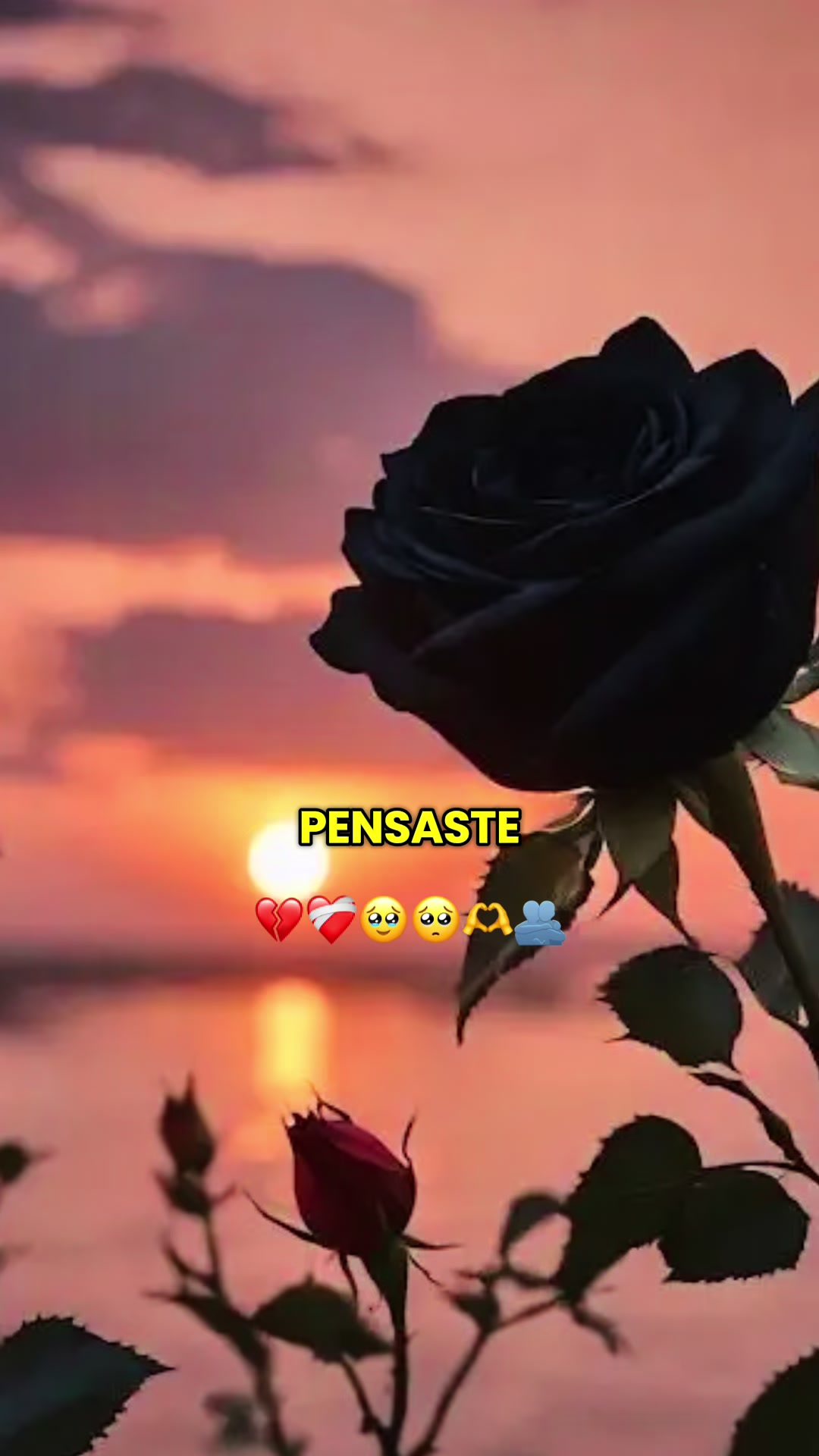 @frases letras