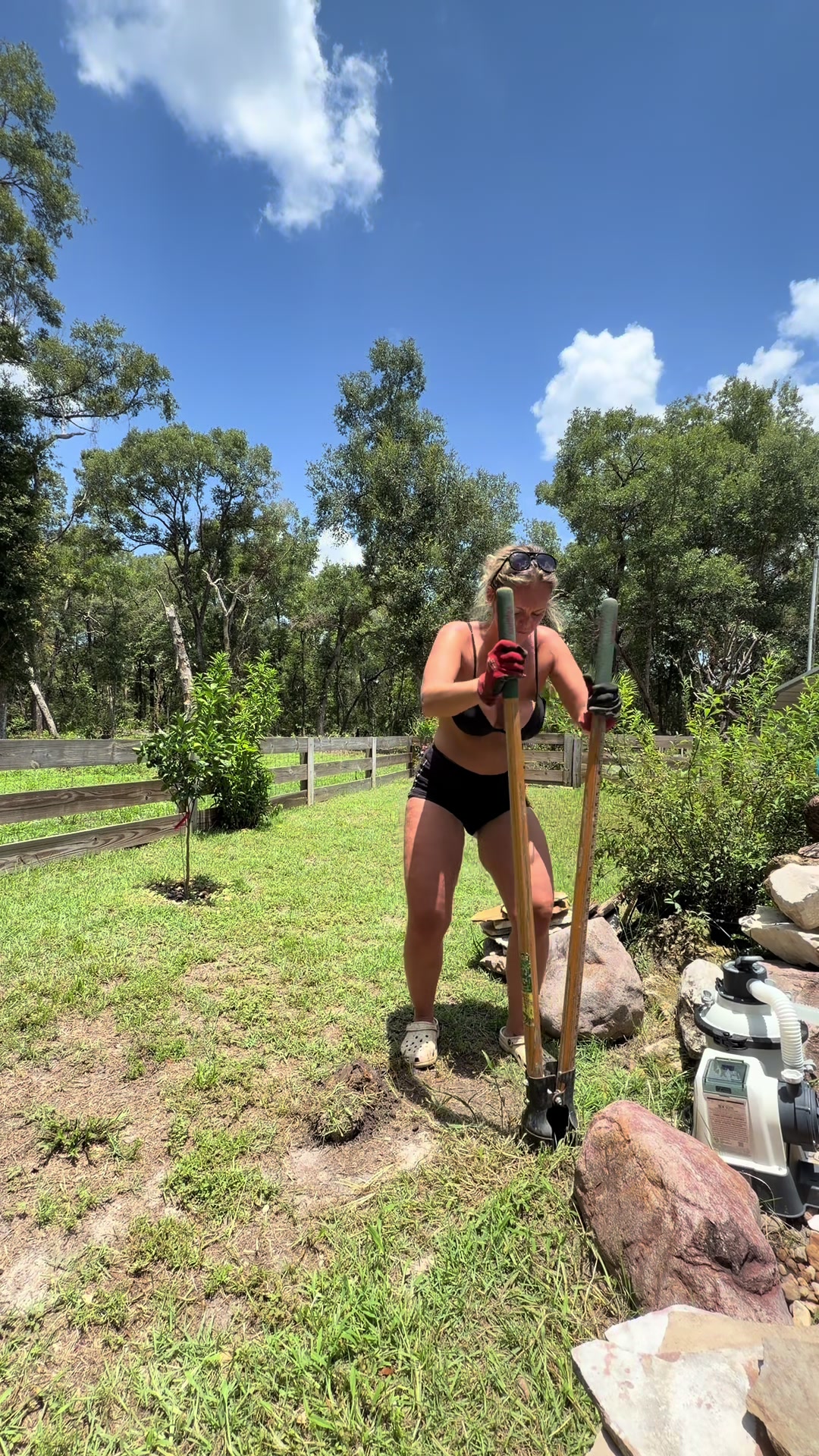 @MamaLynn 🤠 🫧