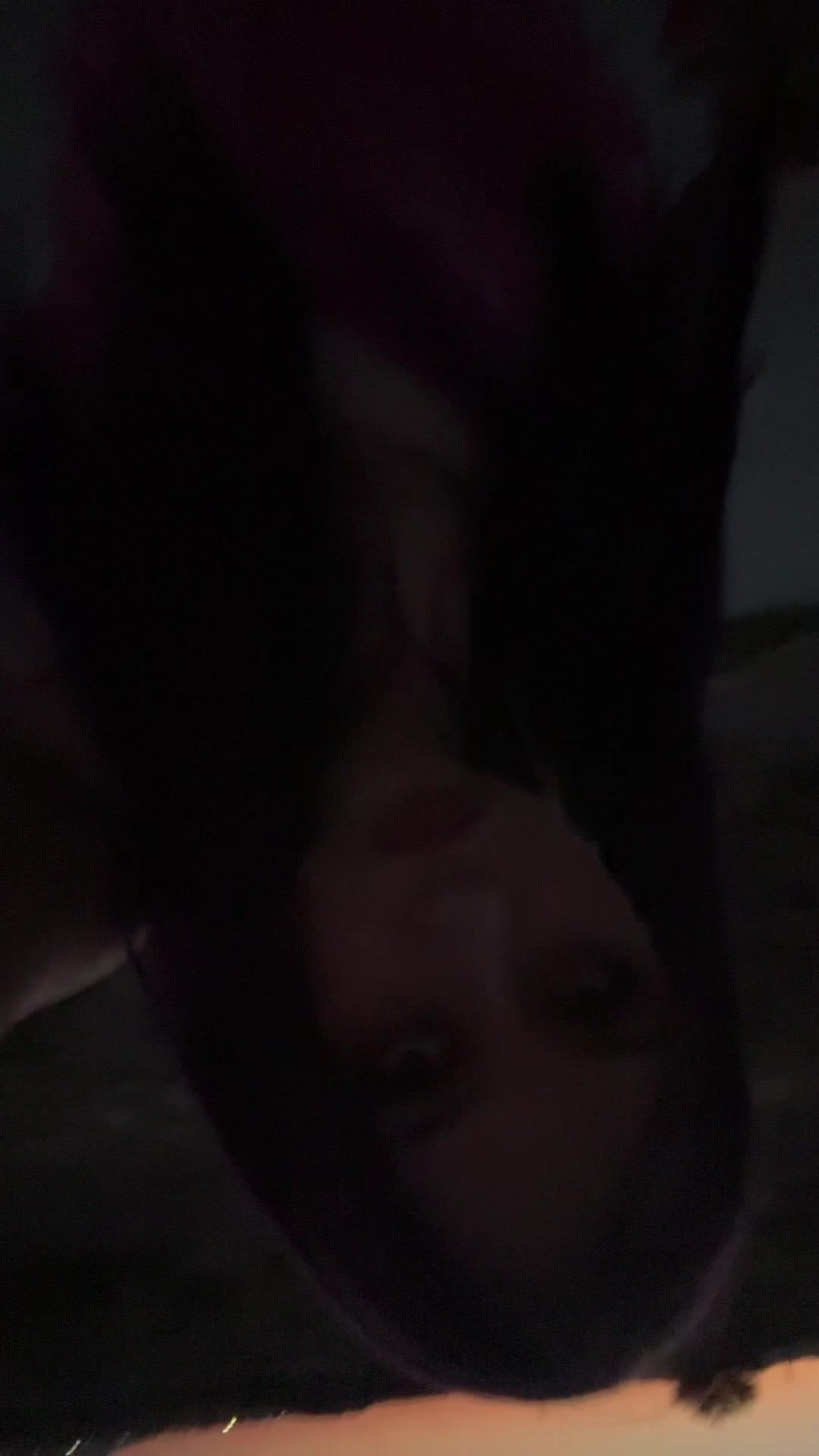 @Catt &trade;