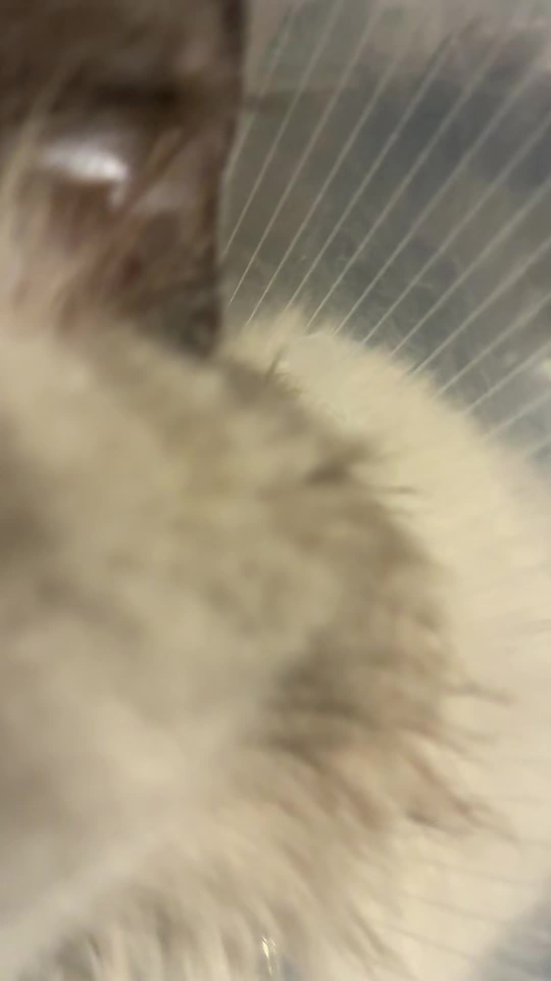 @ezradoesstuff