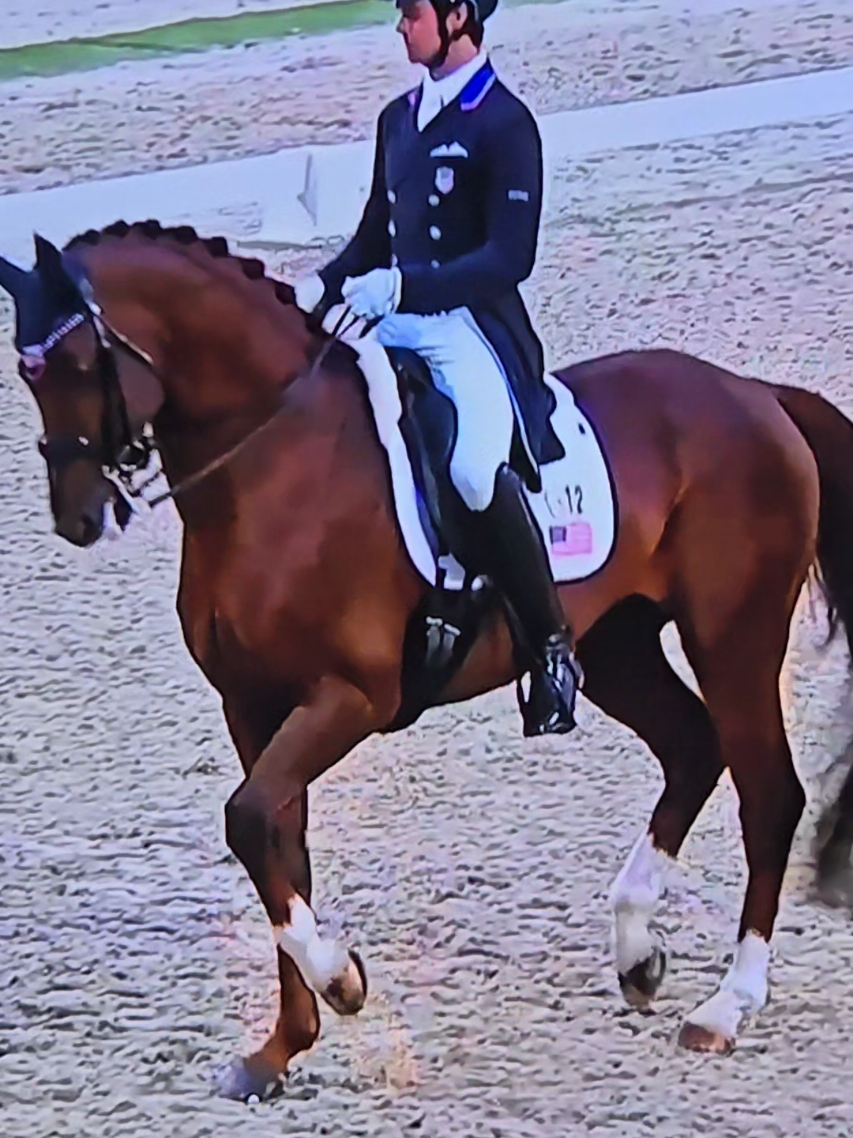 @DressageHub