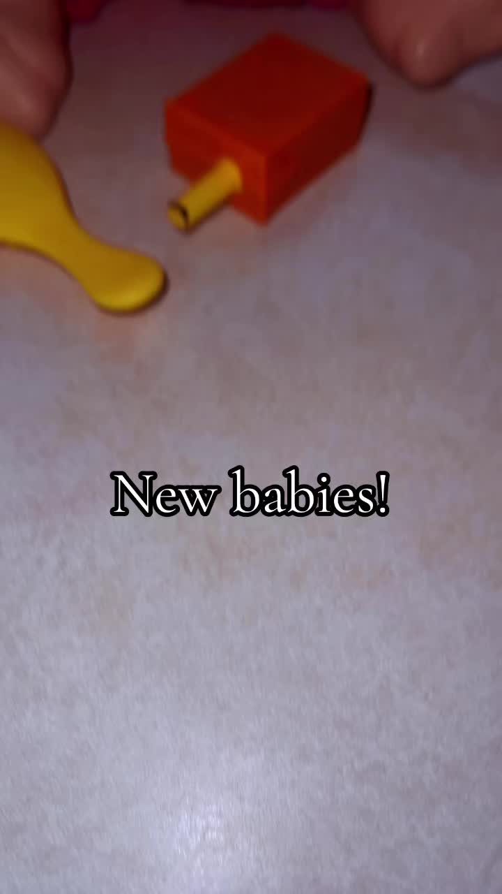 @2000s Dolls Asyluss
